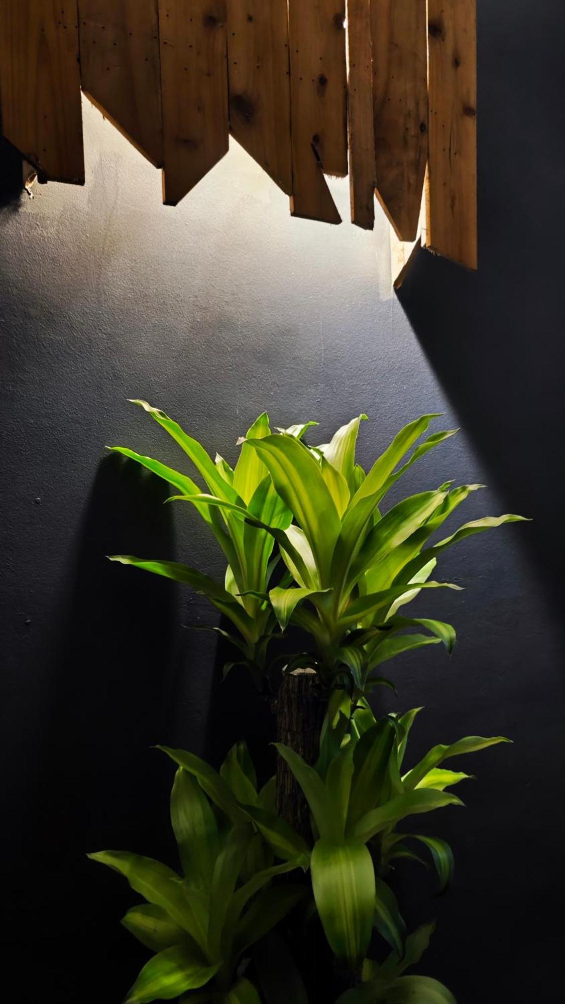 Catba Pod Hostel - Restaurant And Rooftop Bar Dong Khe Sau ภายนอก รูปภาพ